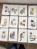 Cat 3 – Little Cats watercolor by Boccard
